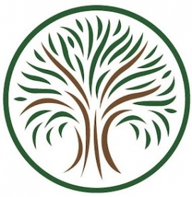 Maple Tree Biomedical